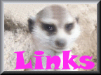 click for meerkat links