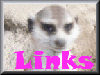 more meerkat links