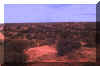 misc -Kalahari1.jpg (38661 bytes)