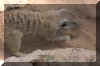 misc -repair6.jpg (49750 bytes)