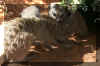 play10.jpg (50983 bytes)